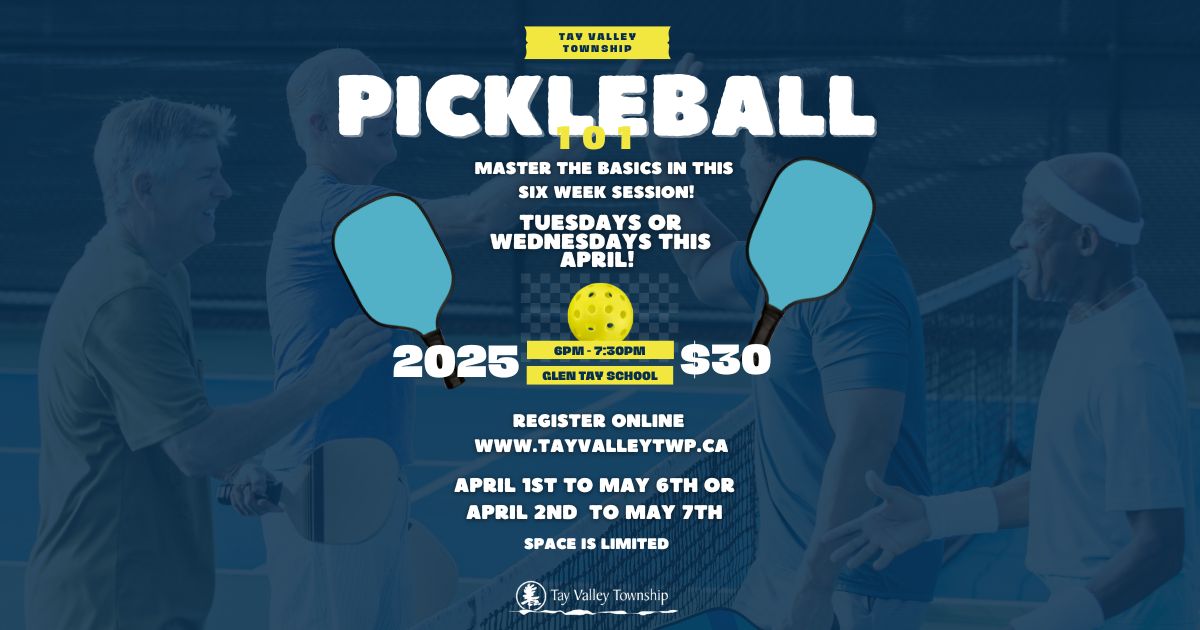 Pickleball 101 Poster