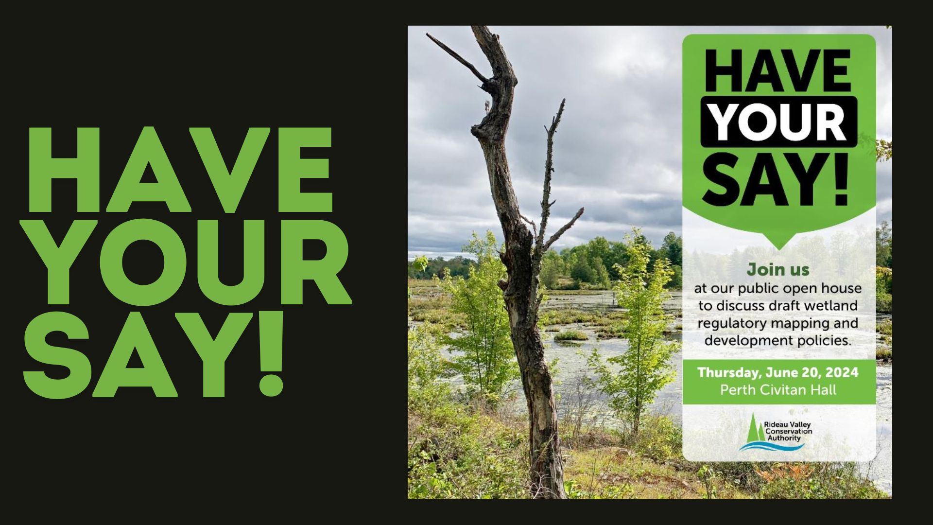 Wetlands Open House - Have Your Say Poster