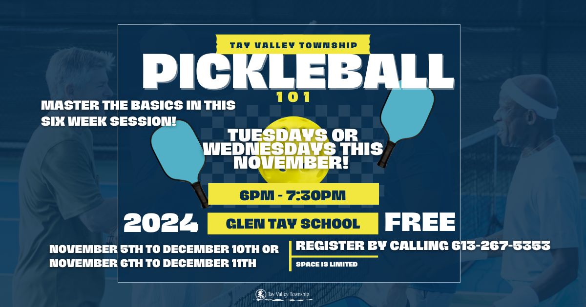 Pickleball 101 Poster