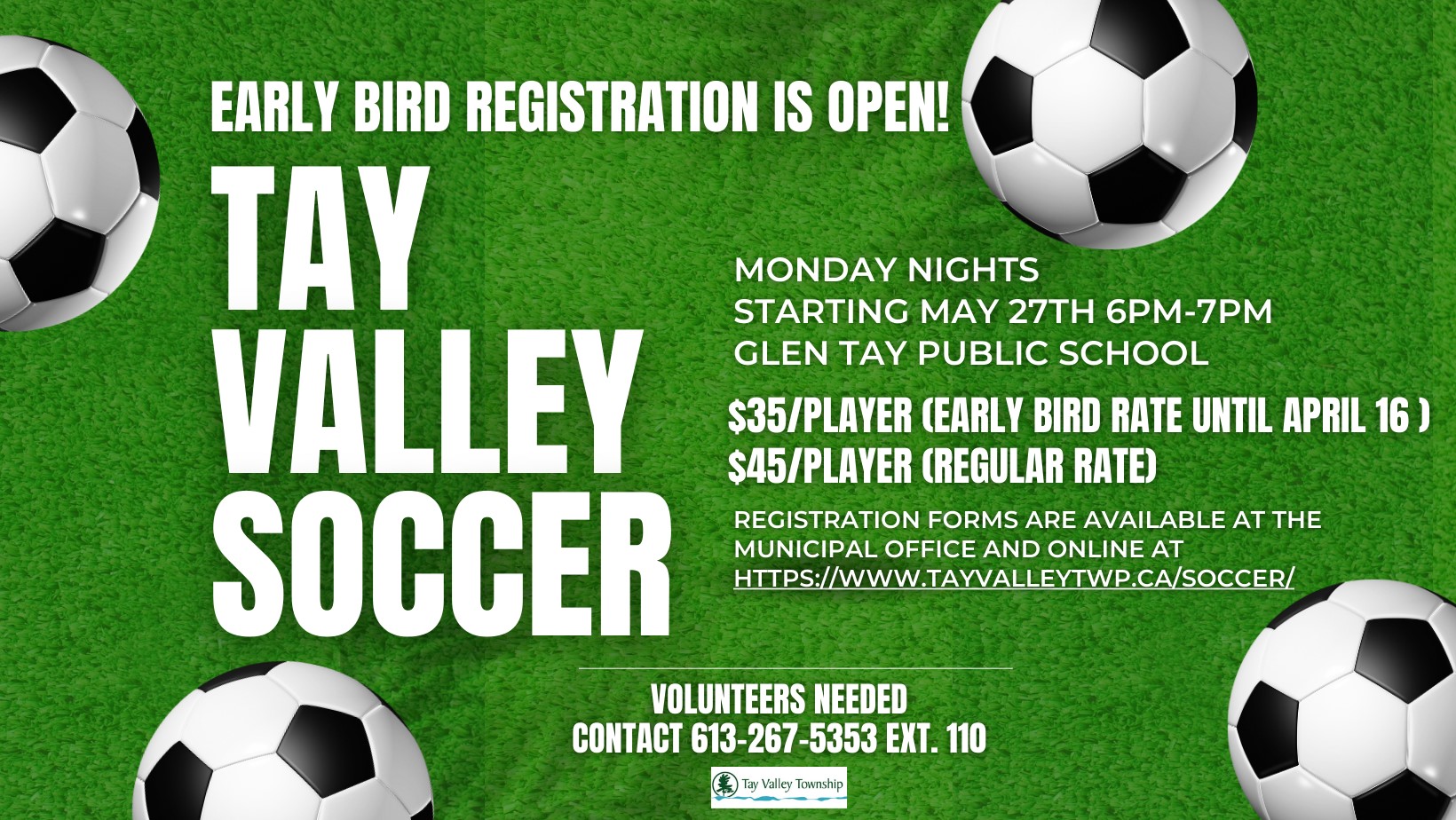 soccer balls, green background, poster, registration is open