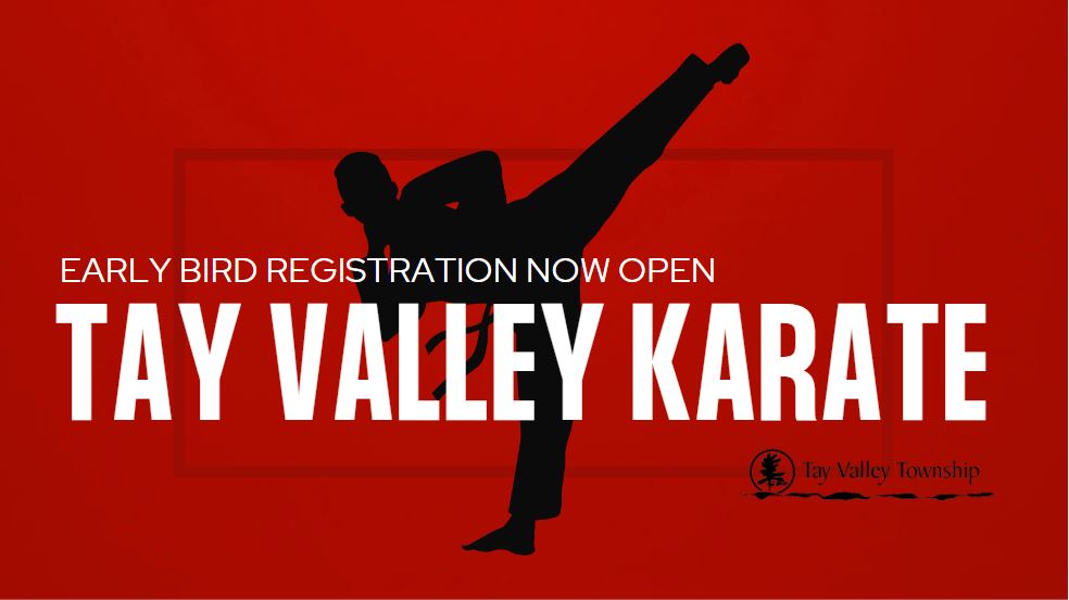Fall Karate Poster