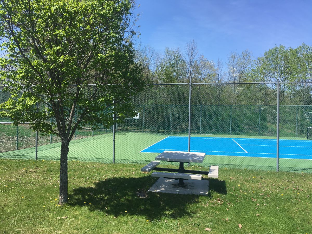 tree and picnic table in front of tennis court